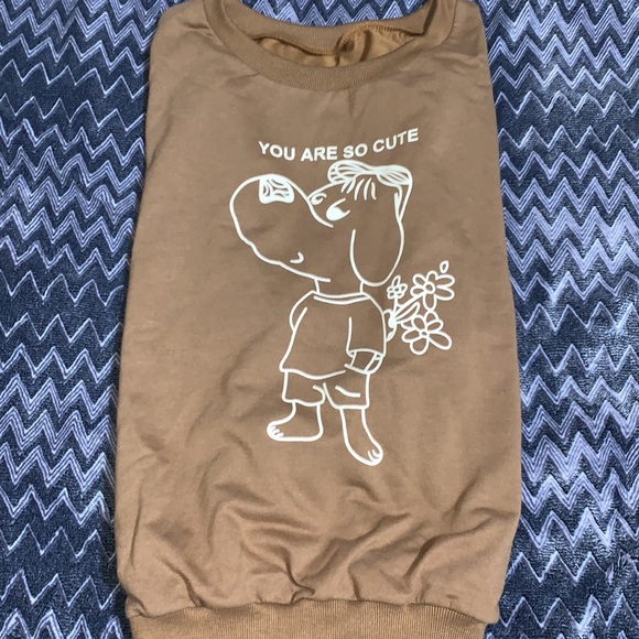 Brown sweater with tag on - Picture 3 of 4